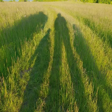 شاليه Tokarka - Richnavske Jazera شتيافنيسكيه بانيه