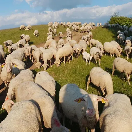 Tokarka - Richnavske Jazera Alpesi faház Hegybánya