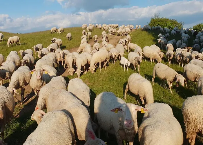 Tokarka - Richnavske Jazera Horská chata Stiavnicke Bane